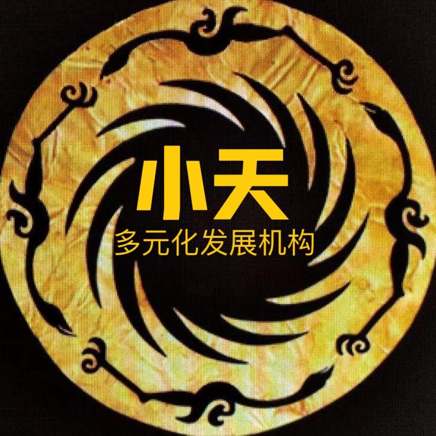 小天多元化发展机构