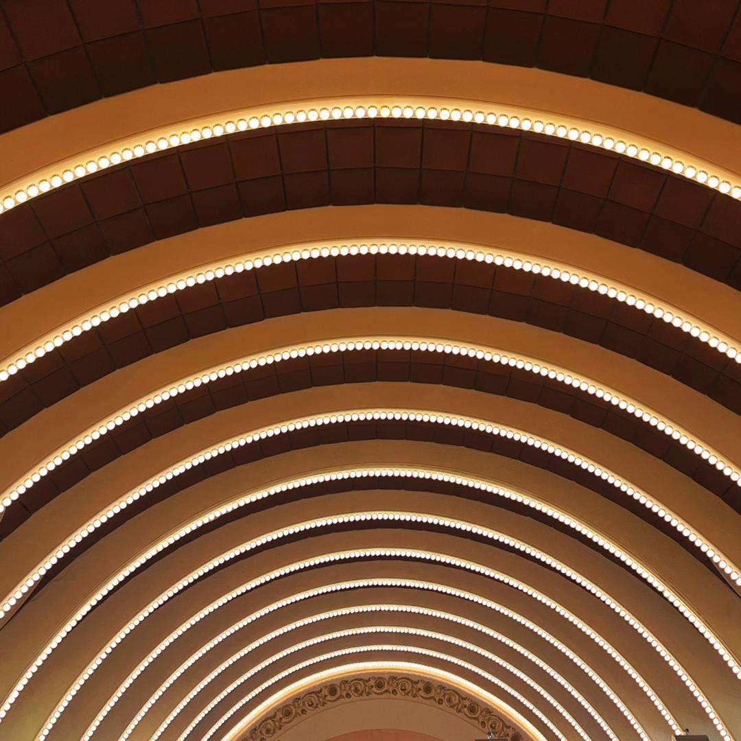 沙皮狗｜查无此人