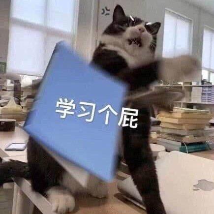 不要犹豫..走！