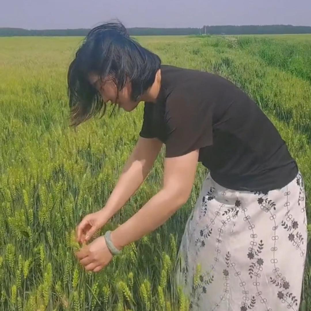 董小姐