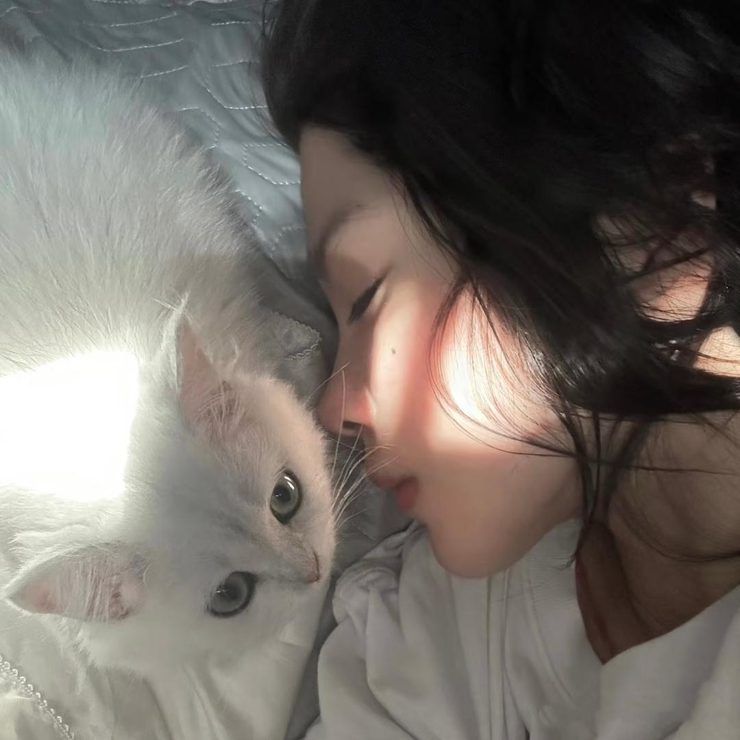 今晚欣欣闪