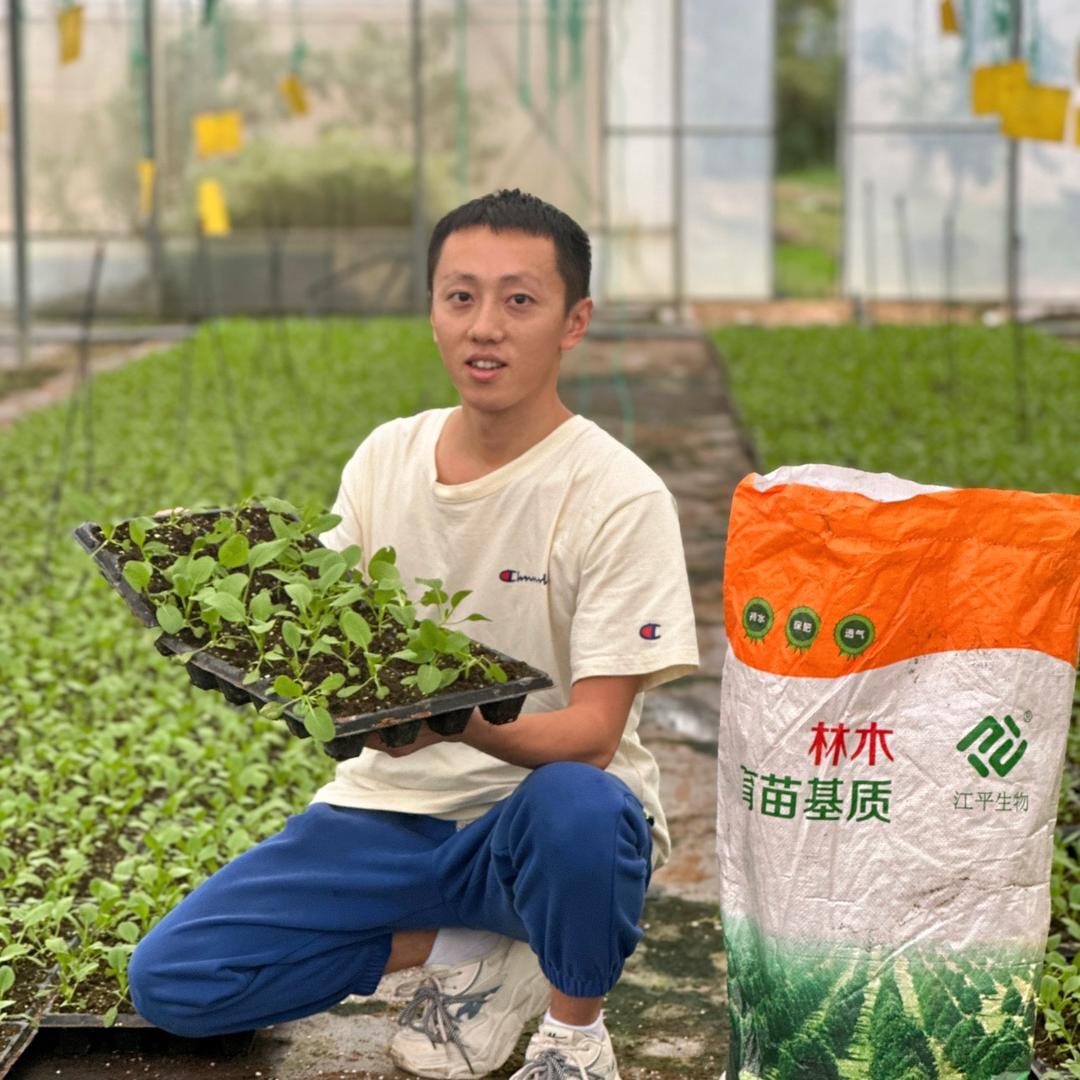 江平生物江平生物专卖店土类