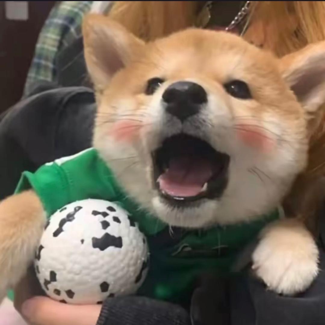 小年说剧