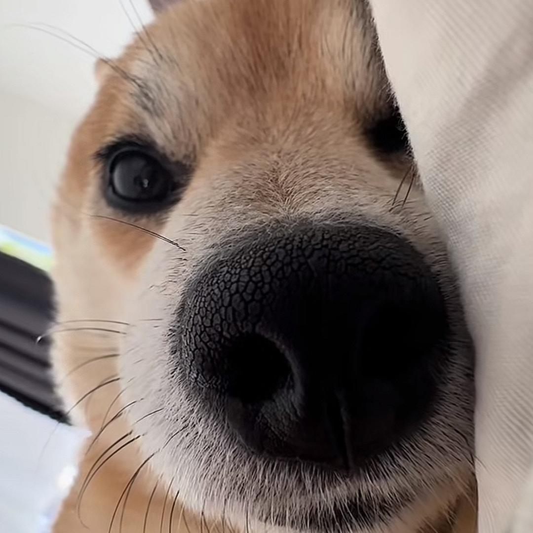 人丑嘴不甜危险还没钱