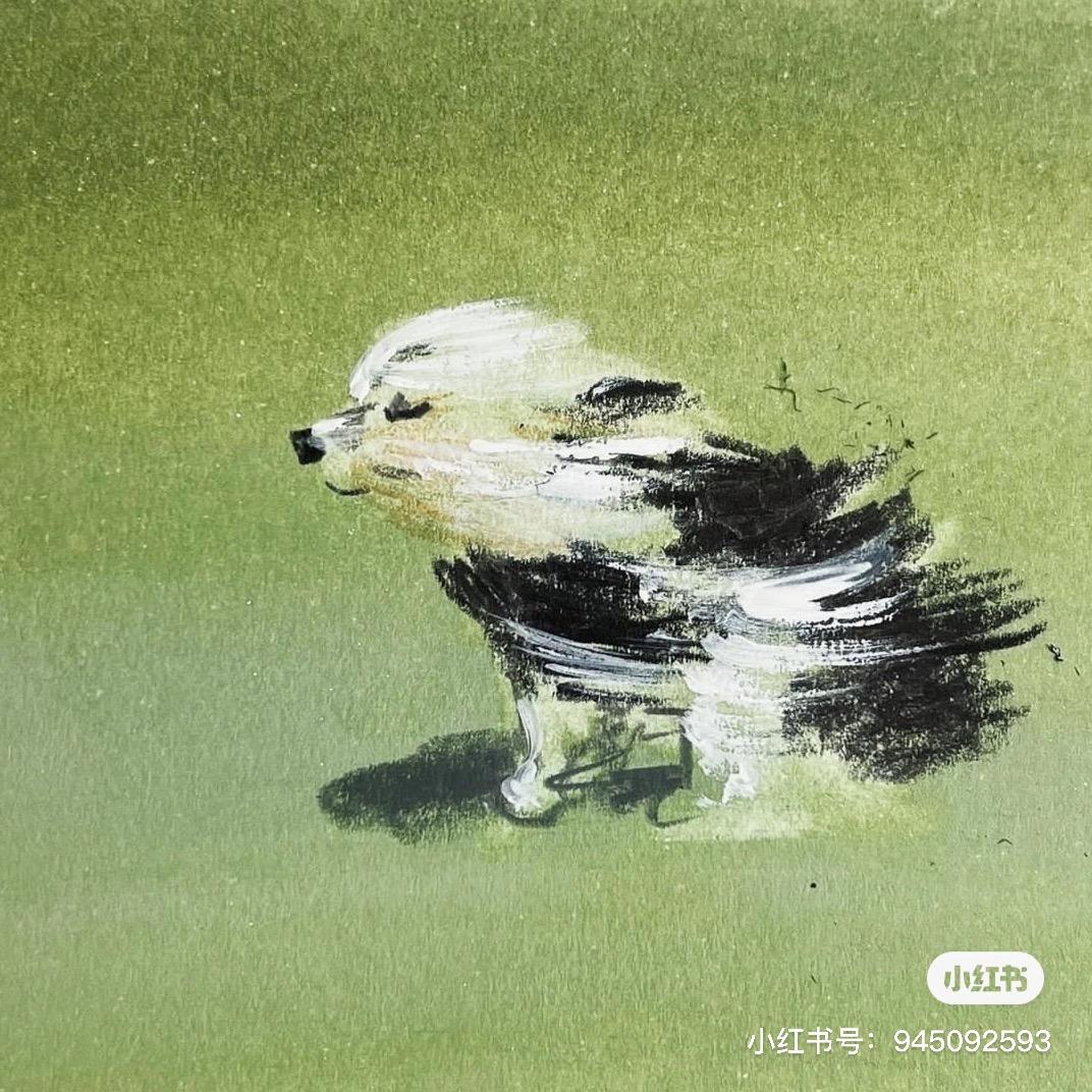 🌈骄傲的枯叶蝶🌈