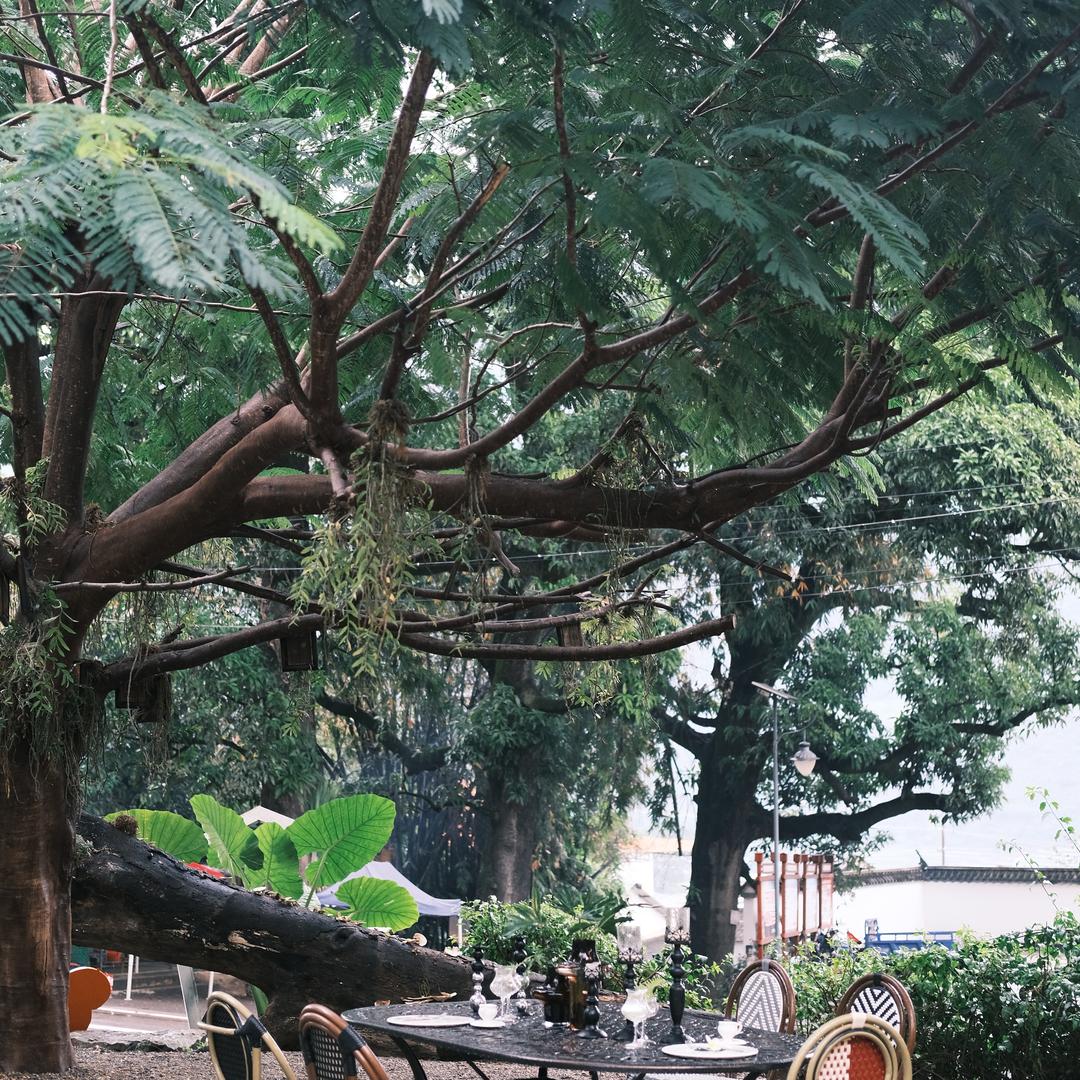 好东西，懂货的来