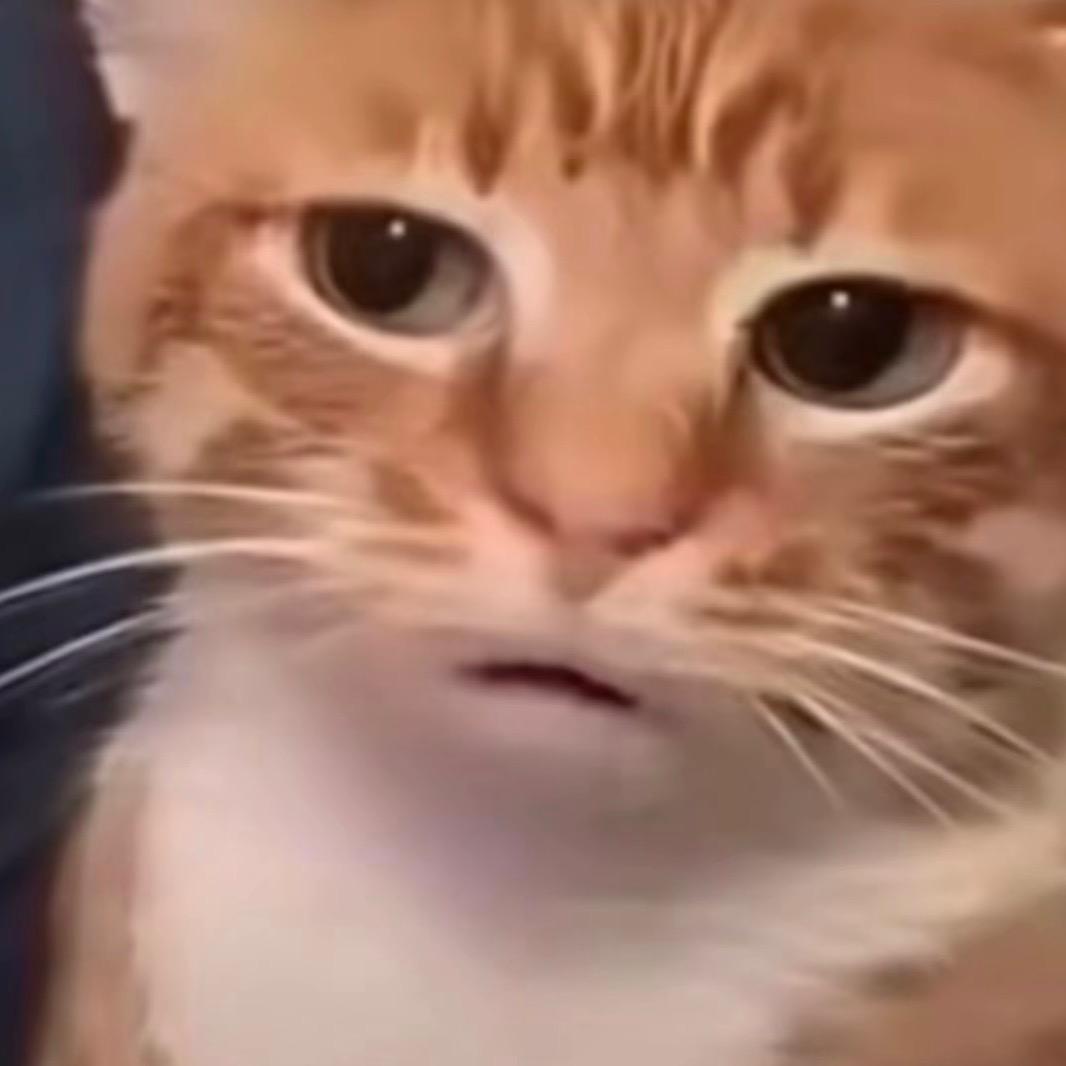 鱼丸（三角洲行动）