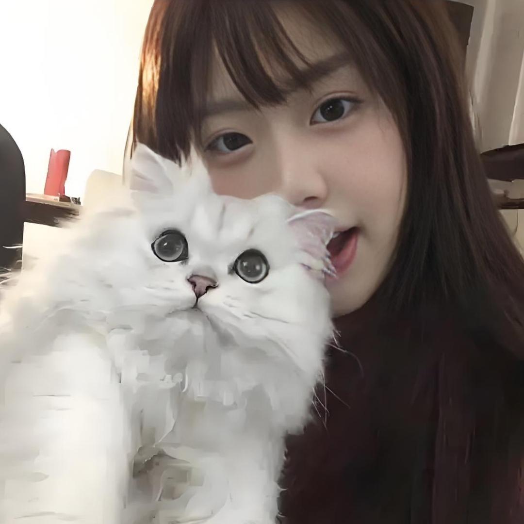 你的太阳我的心。