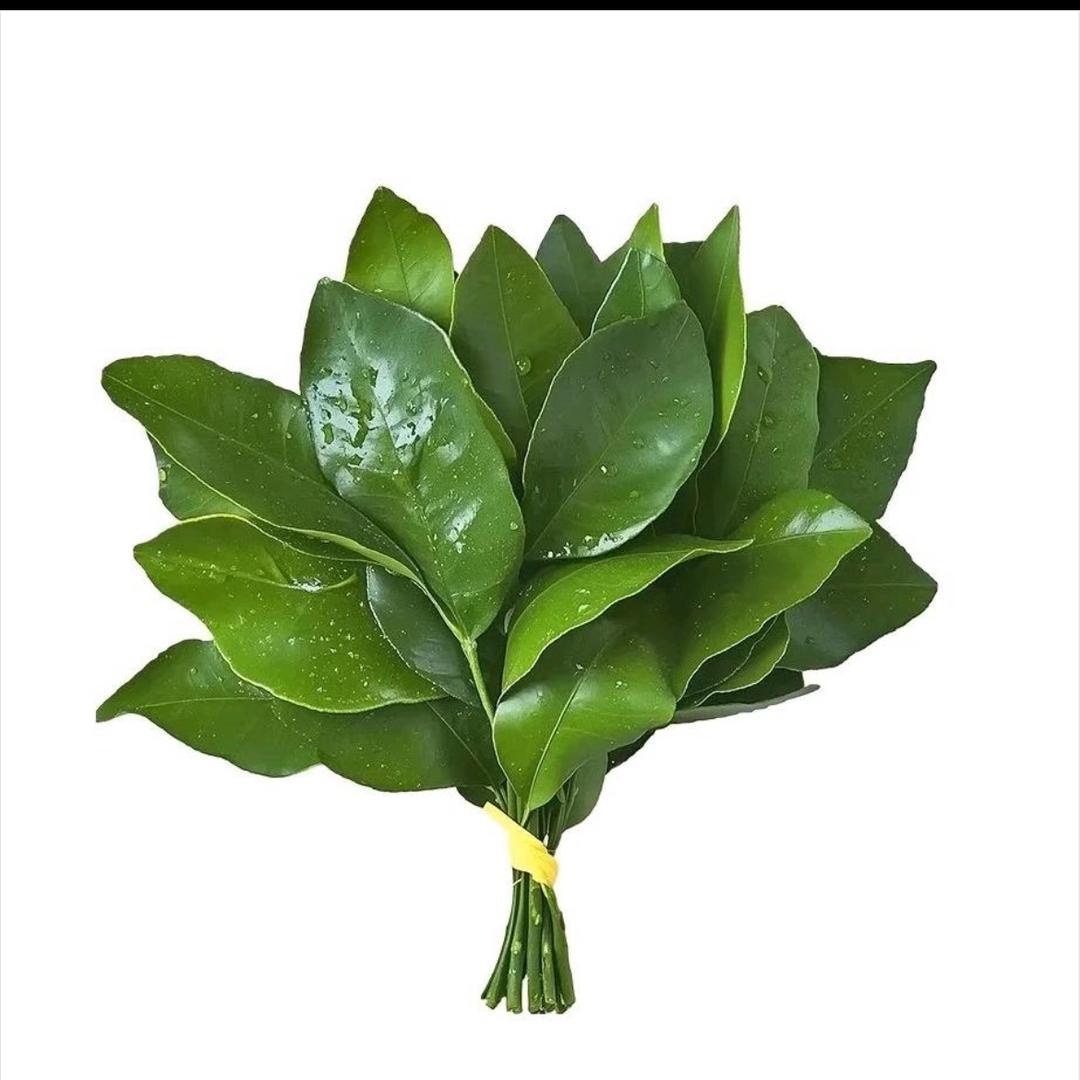 晚安💤(´-ωก`)