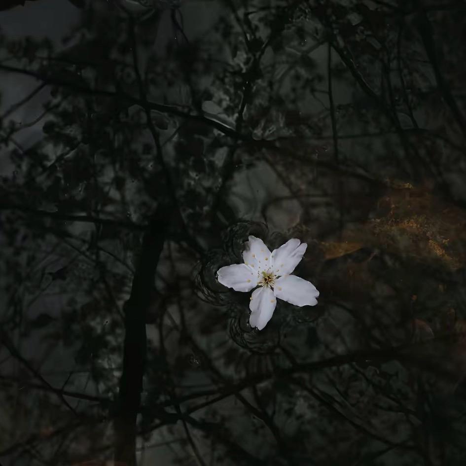 小梅