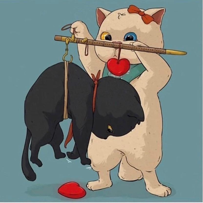 宋小稳
