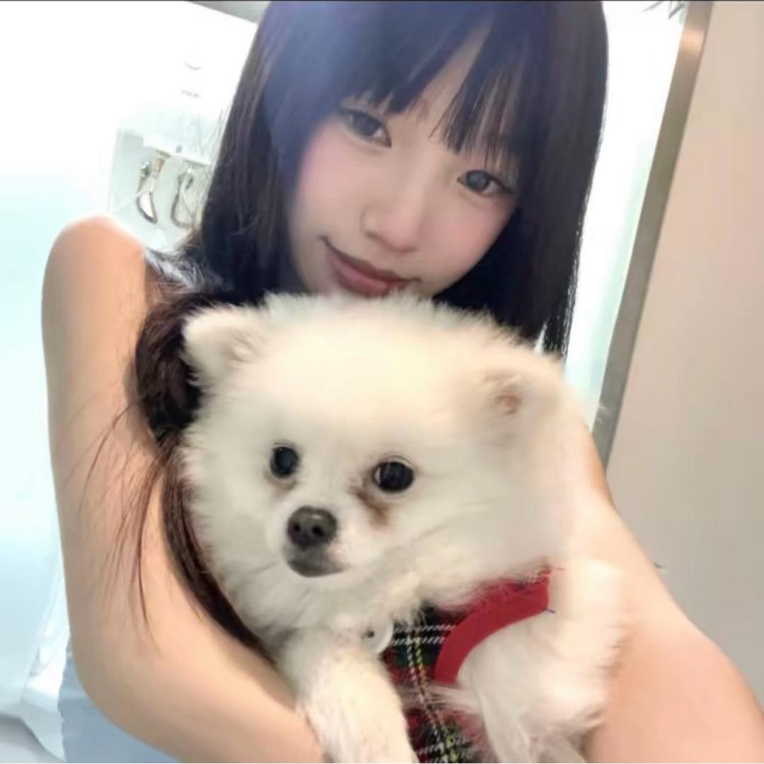 我只想要睡个好觉