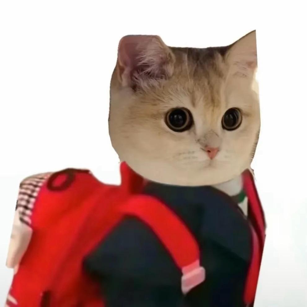 嘻嘻