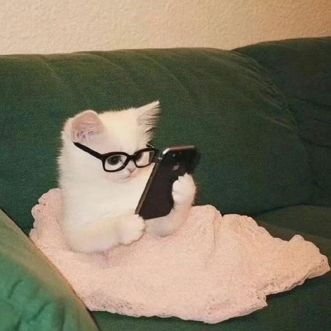 叮当猫_
