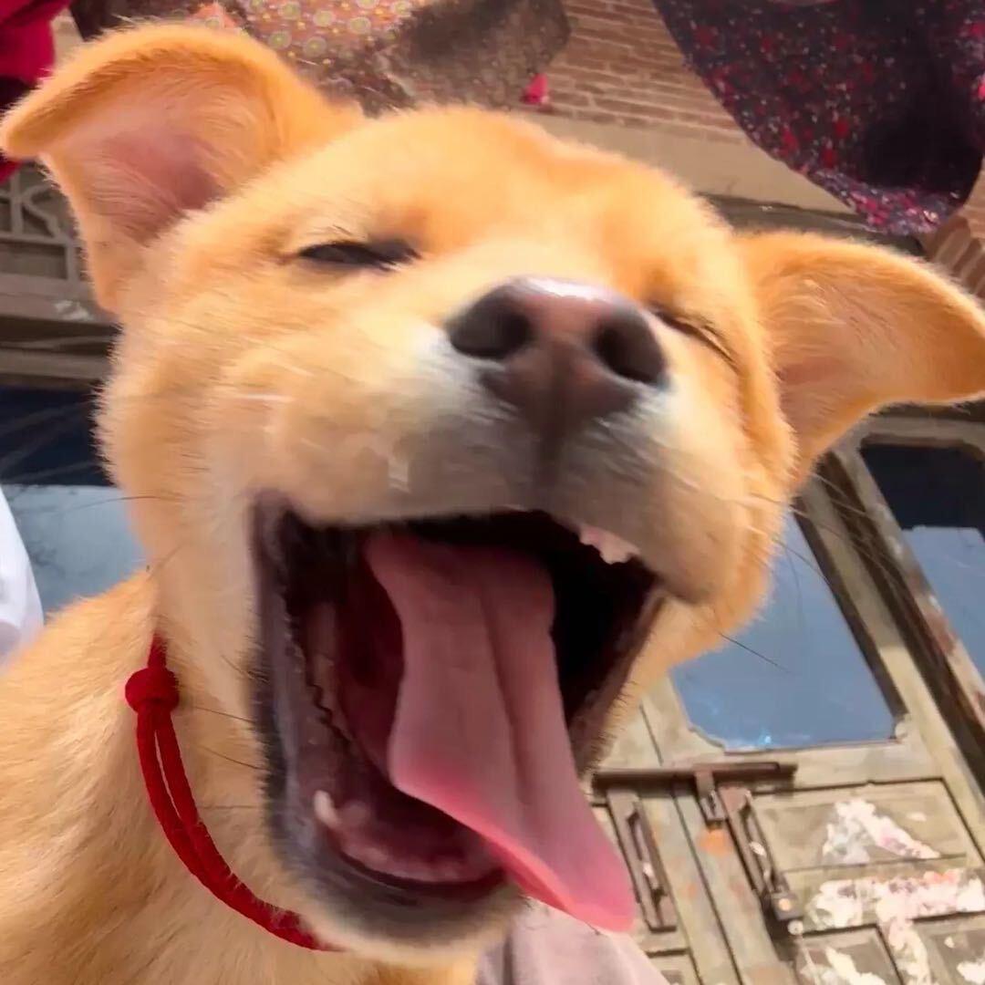 L.Y.