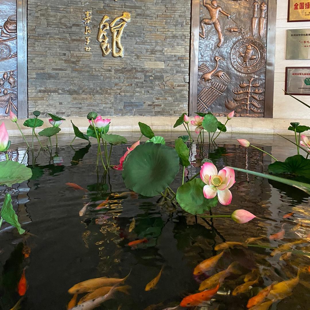 开心每以天☀️666