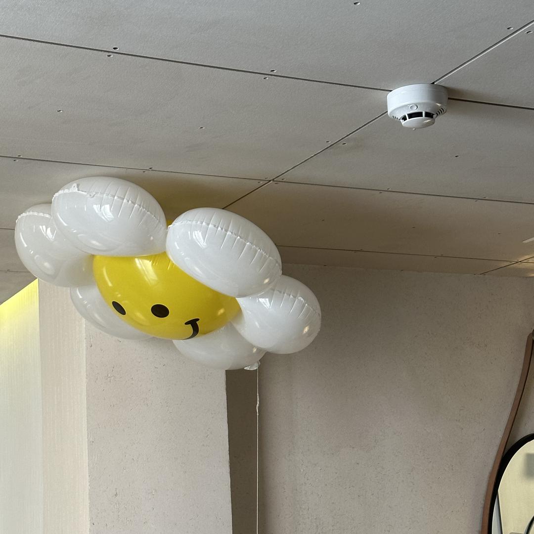 云南顺曦
