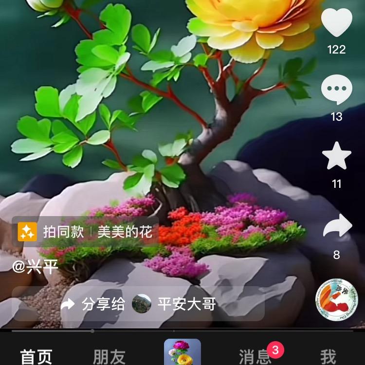 好运莲莲2024