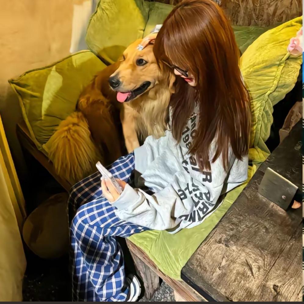 摆烂小鱼