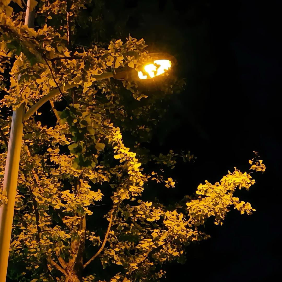 闪购 ub 徐汇区站长