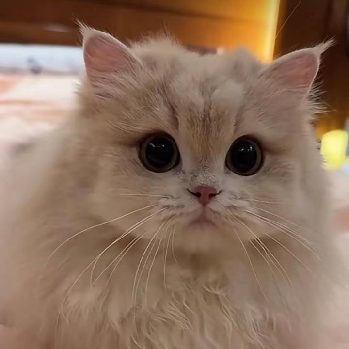 Yukiiiiiii