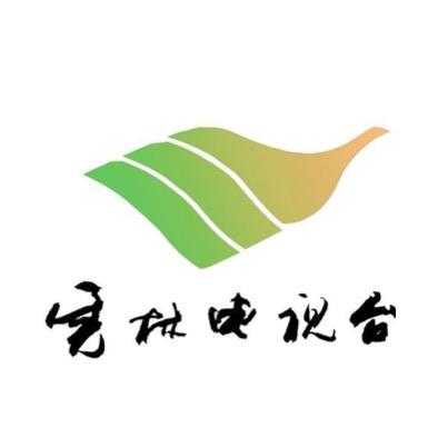 虎林融媒