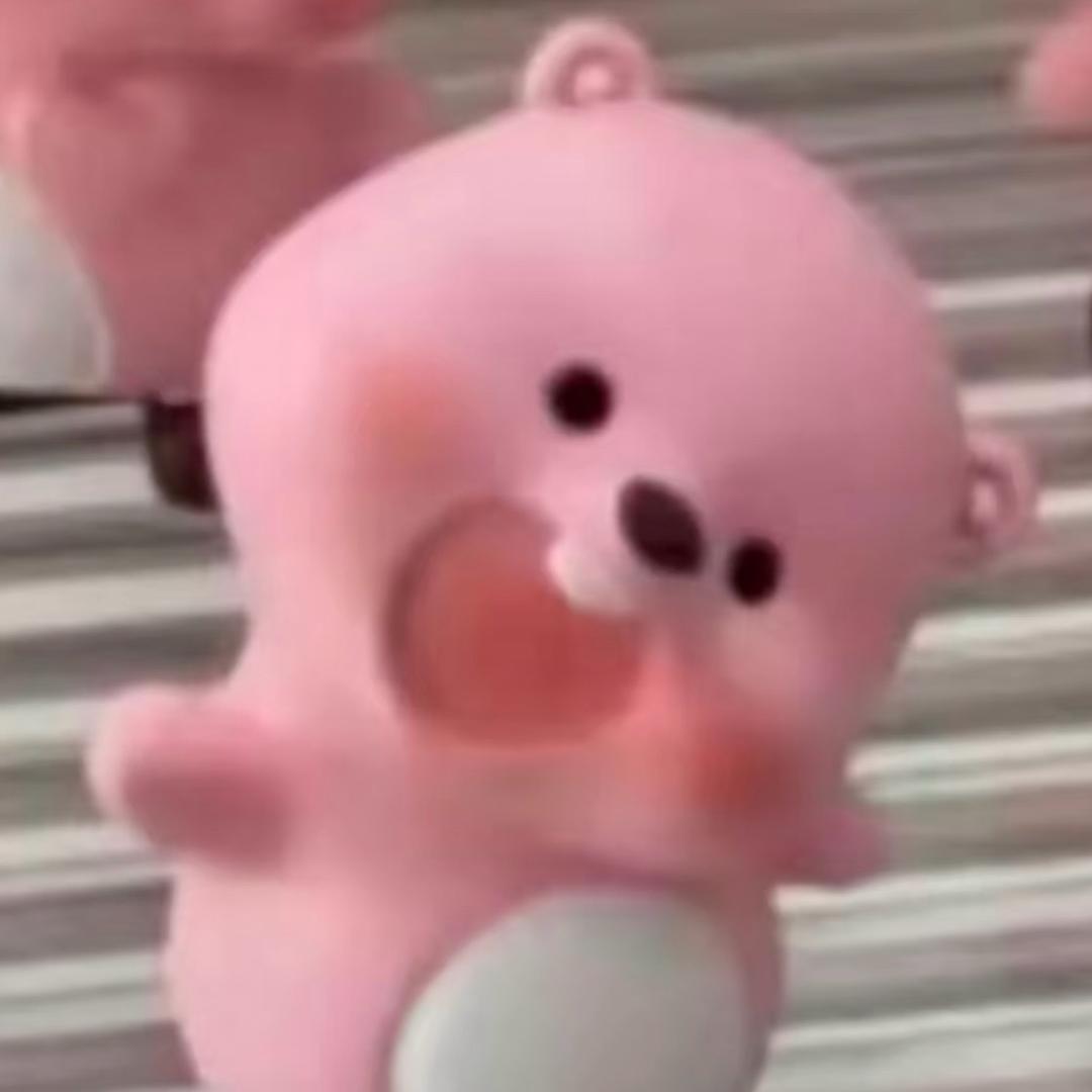多肉姐妹