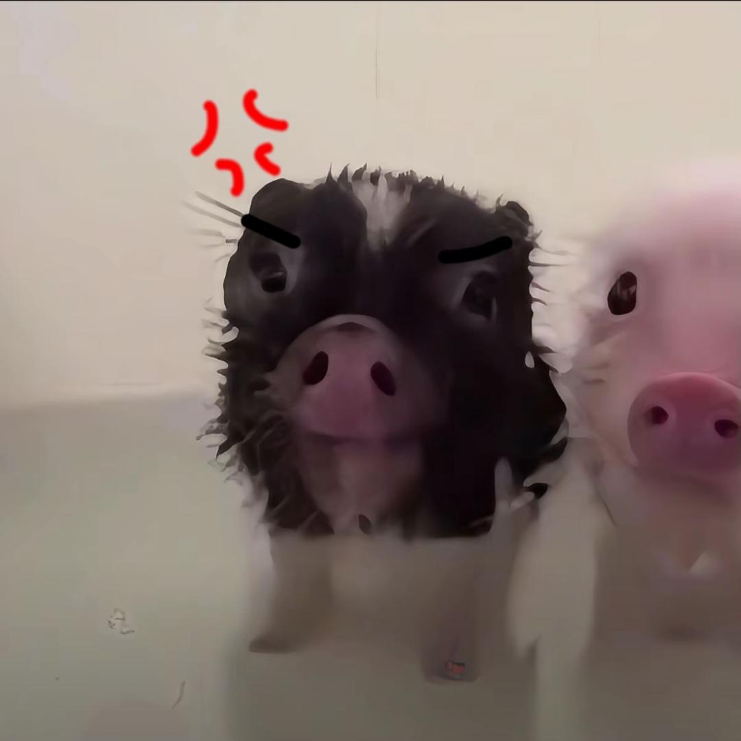 喜欢冬