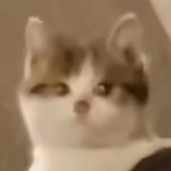 辛der蕊啦辣辣辣