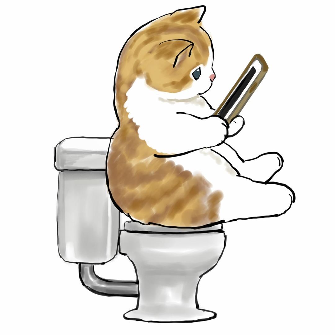 能不能不戴先生