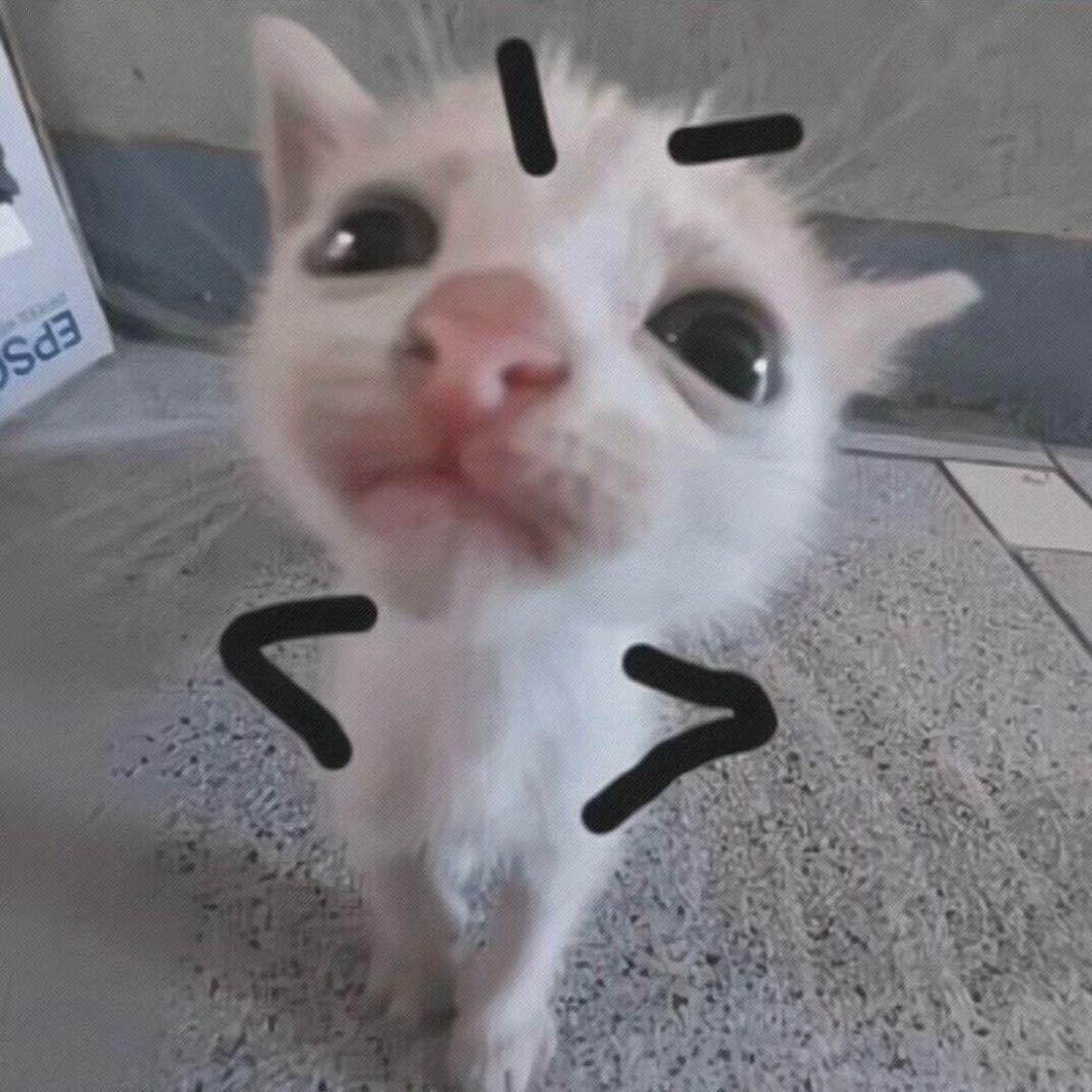 羊肉串