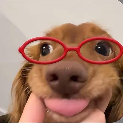 小蔡姬