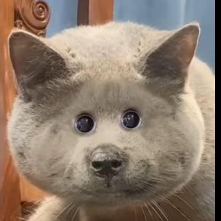 I