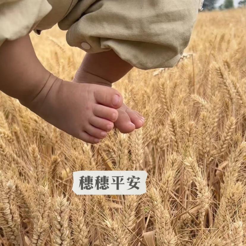 ᰔᩚ 张大胖