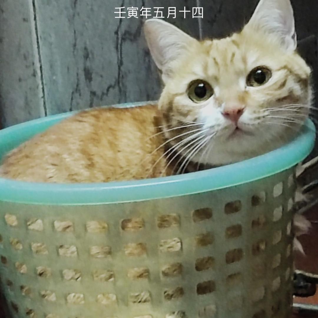 家乐。