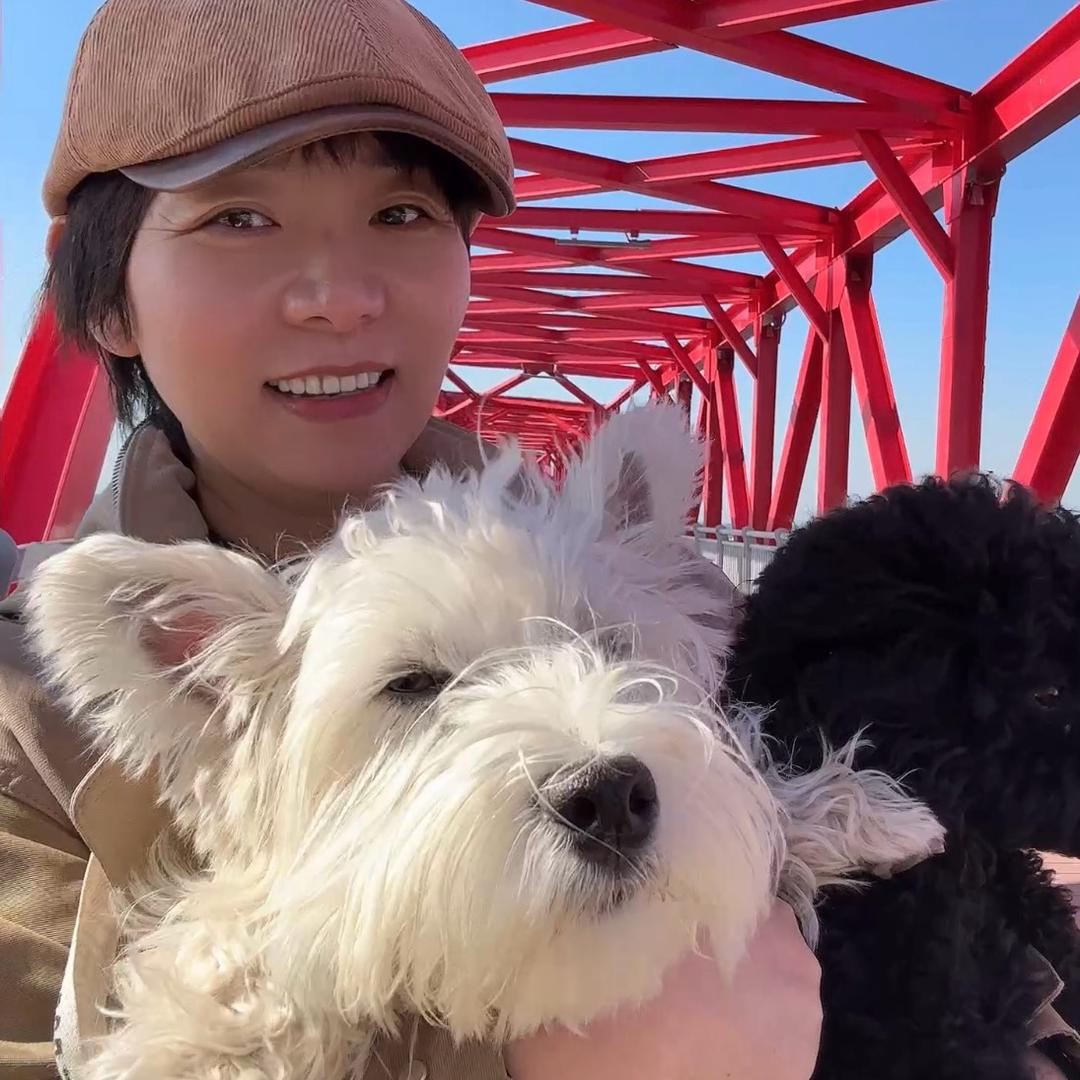 铲屎官麦子🐱🐶