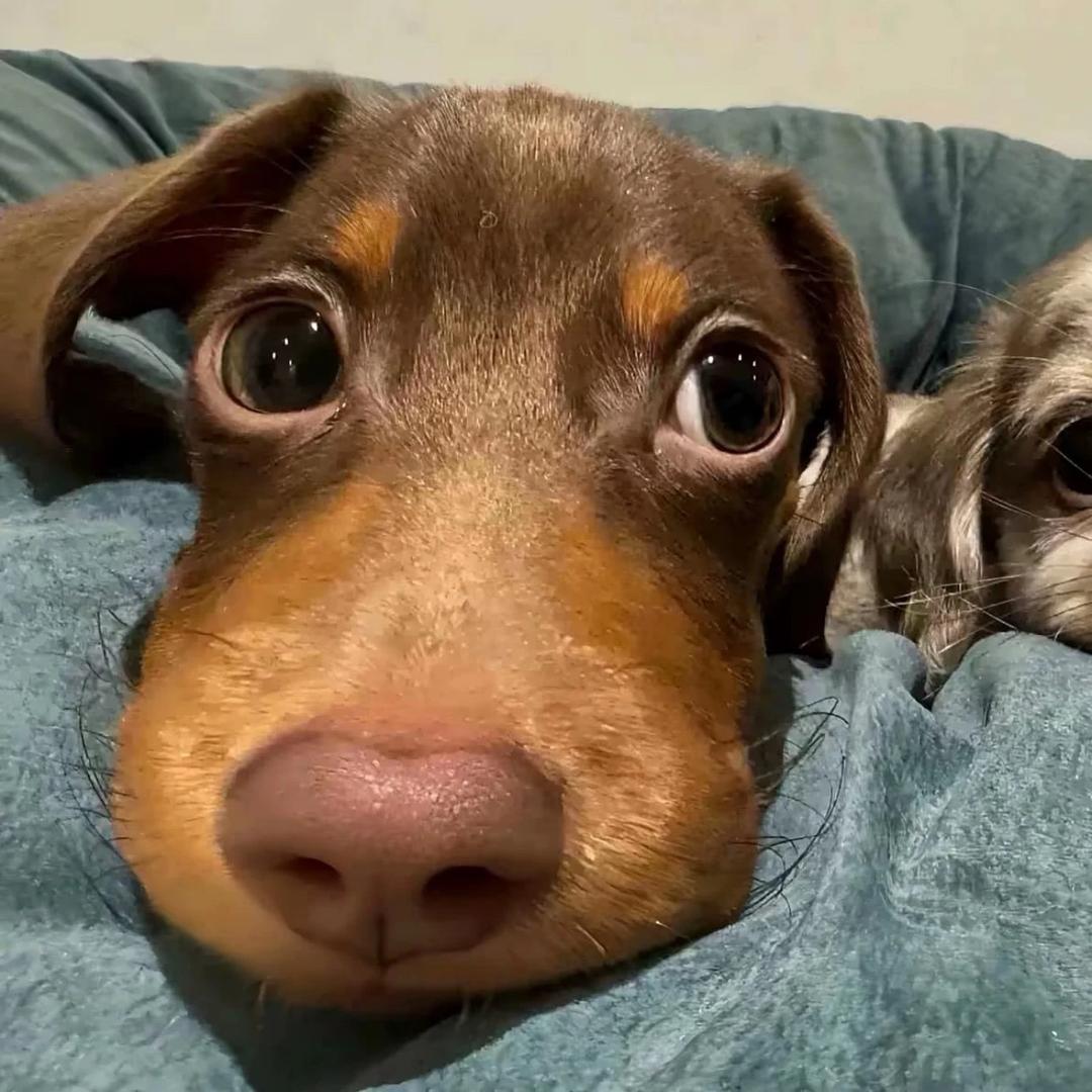 ..