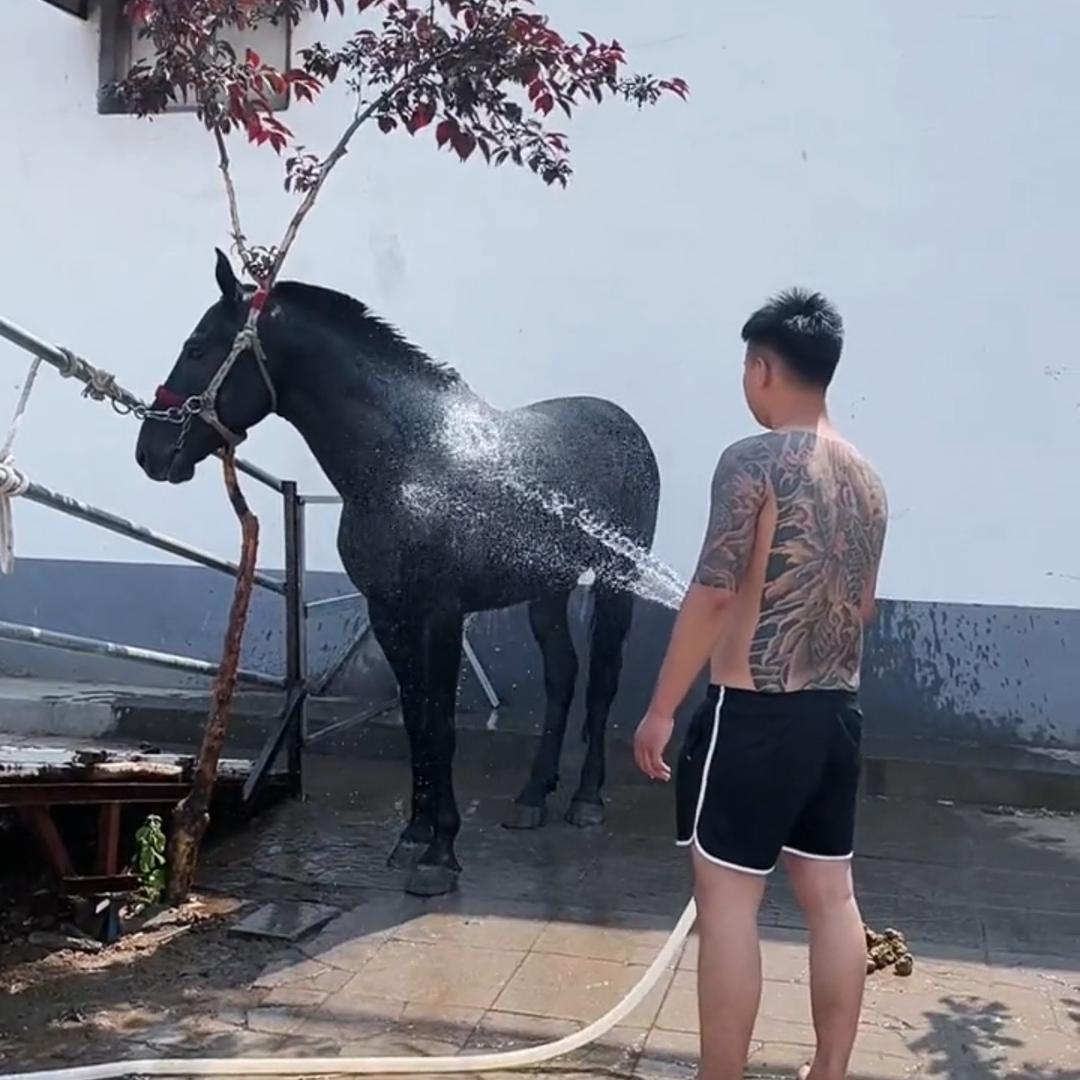 叁木（马🐎业）🐎🐎