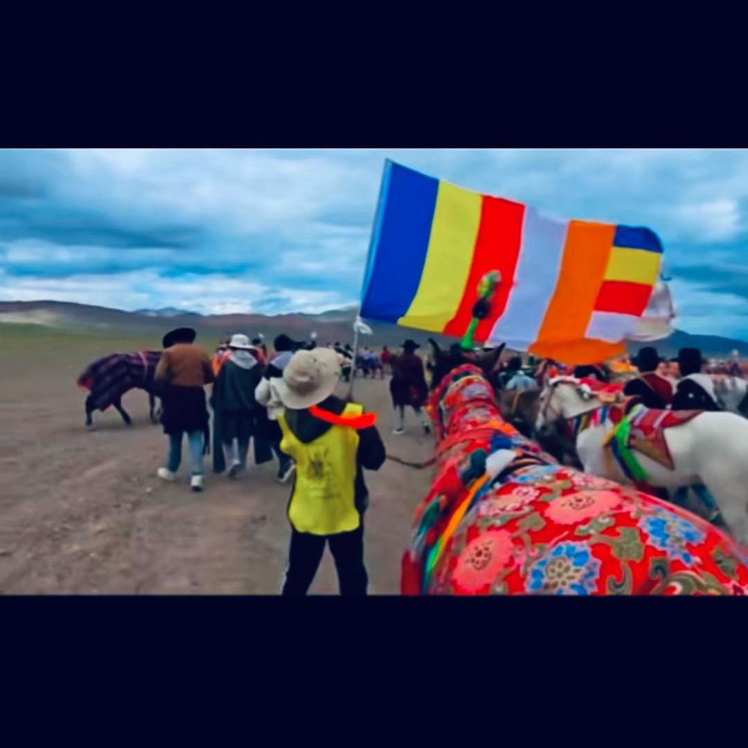 🧿𝓹𝓾·ཚེ་🧤