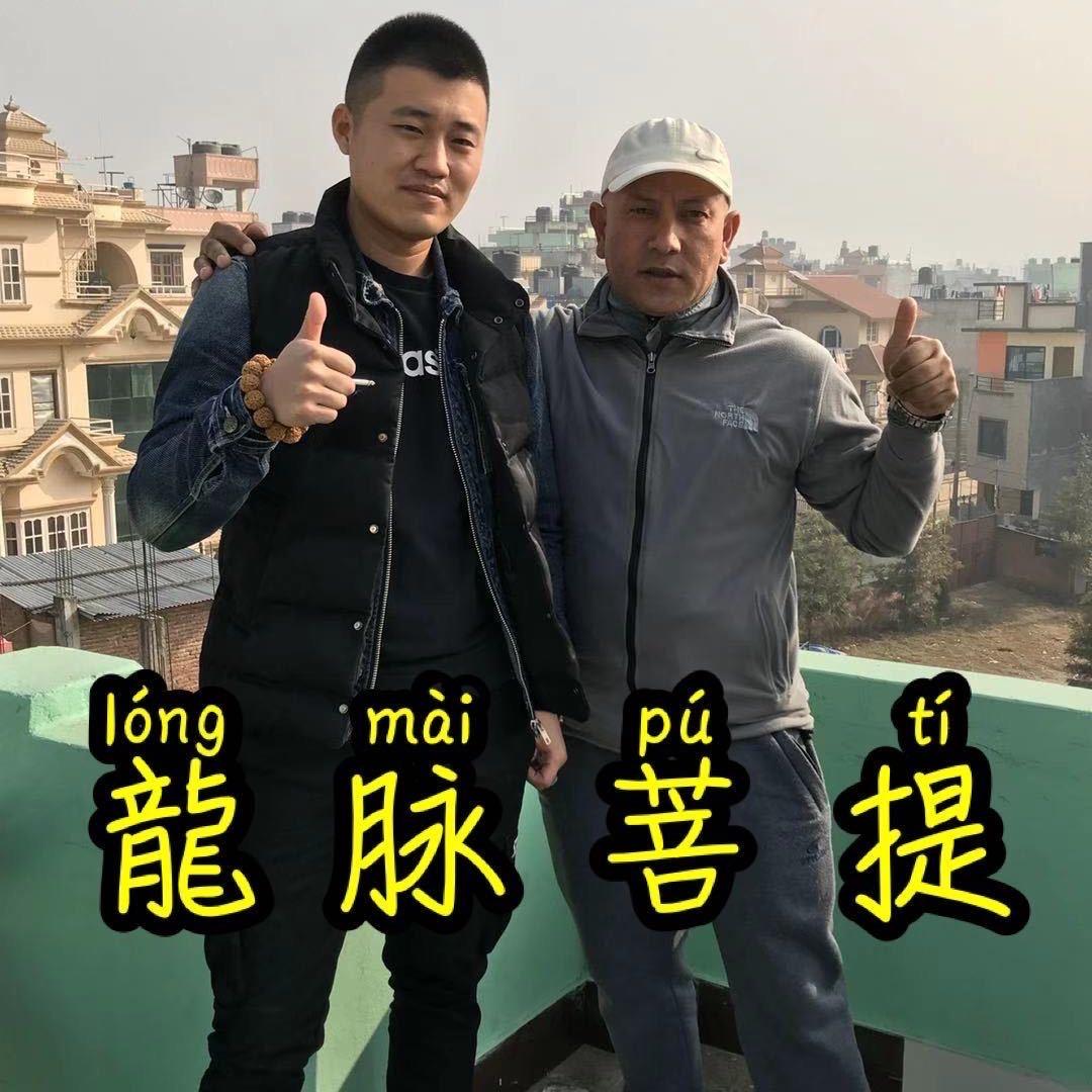 龙脉出品（磕巴龙）