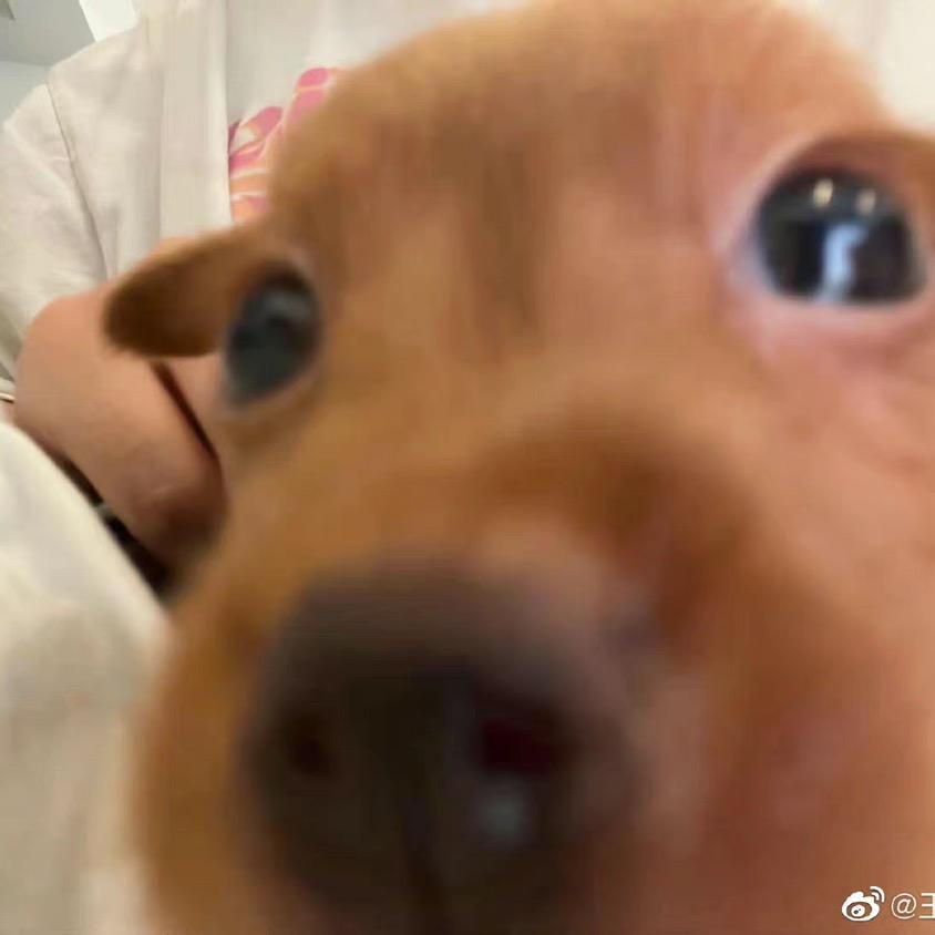 王靖雯的小秘书