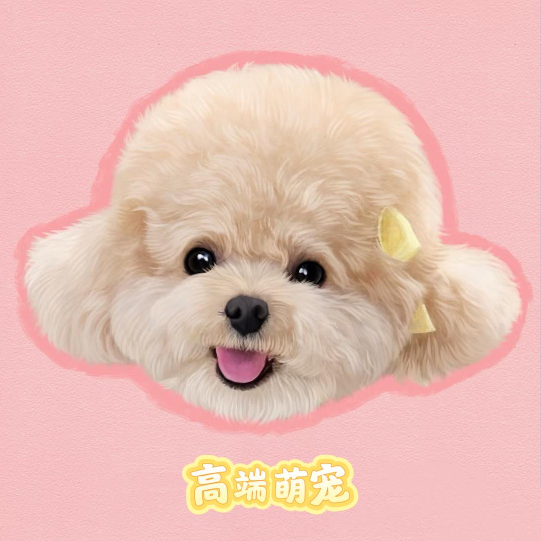 萌宠宠物店
