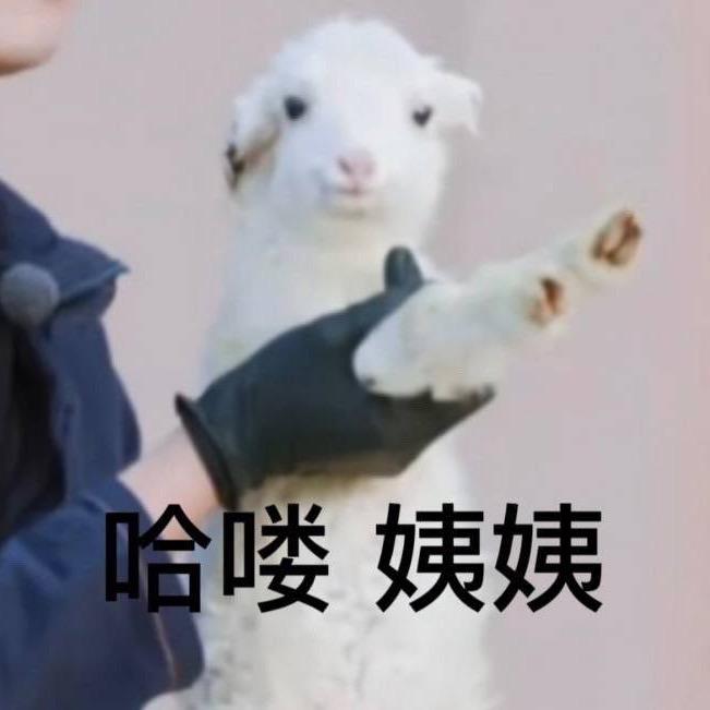 阿葵_Luuu🌽（求求别🧵我了）