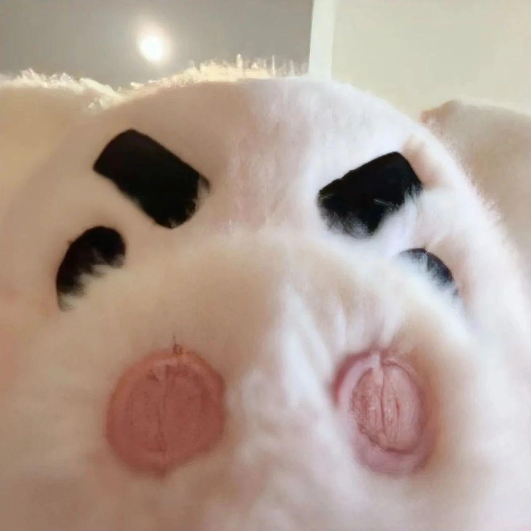 mumiu