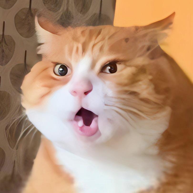 大嗓壮橘