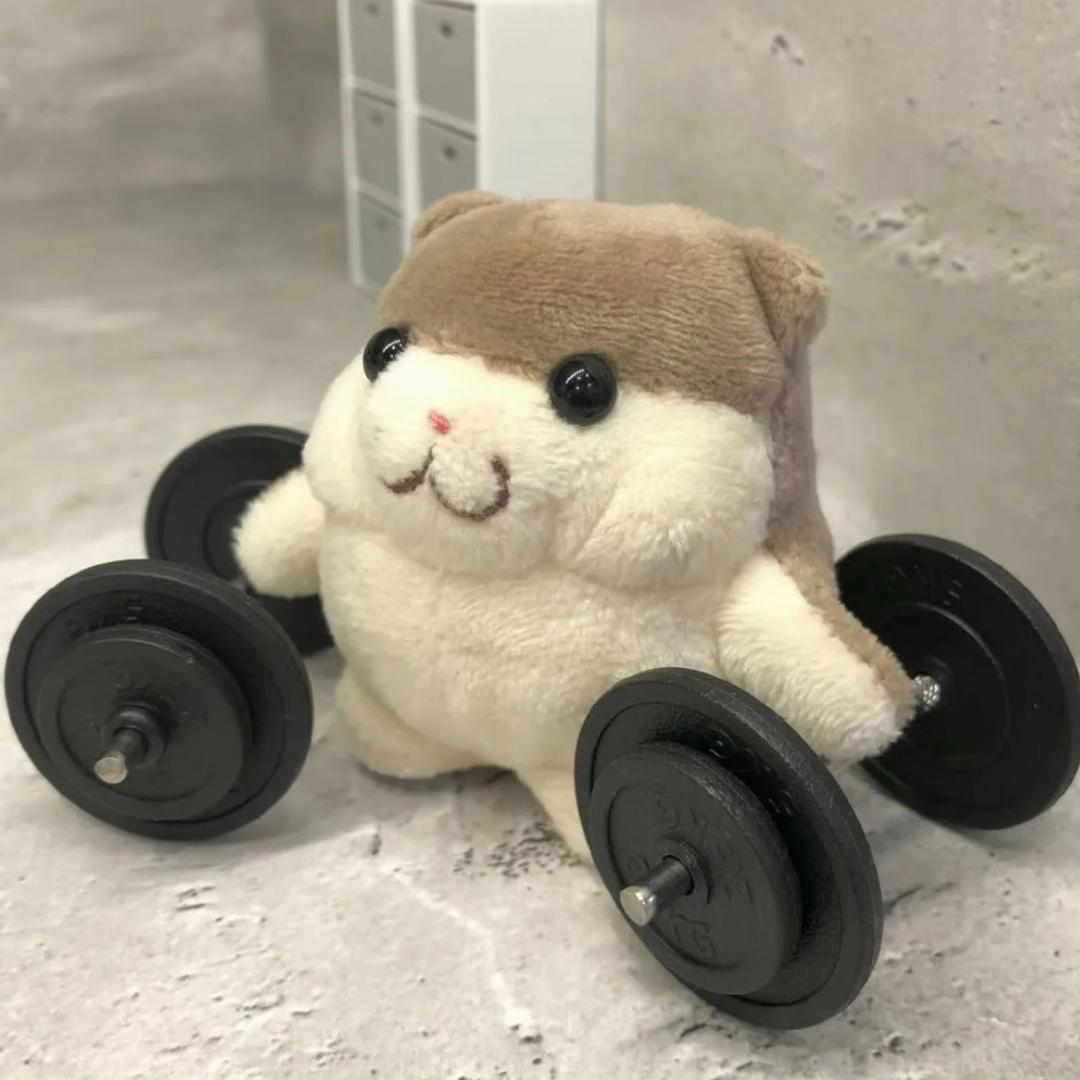 苏格能不能拉到底