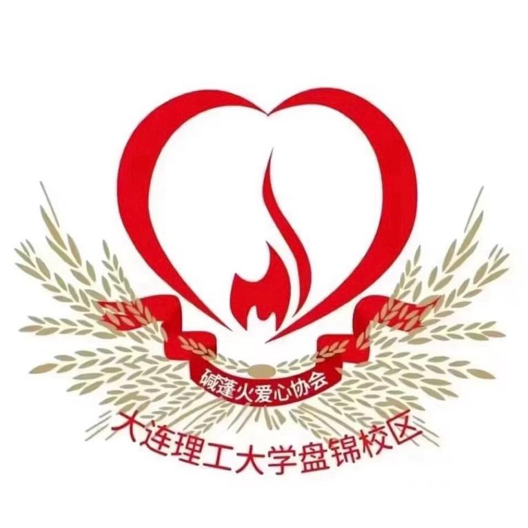 2025豫见碱蓬火支教团