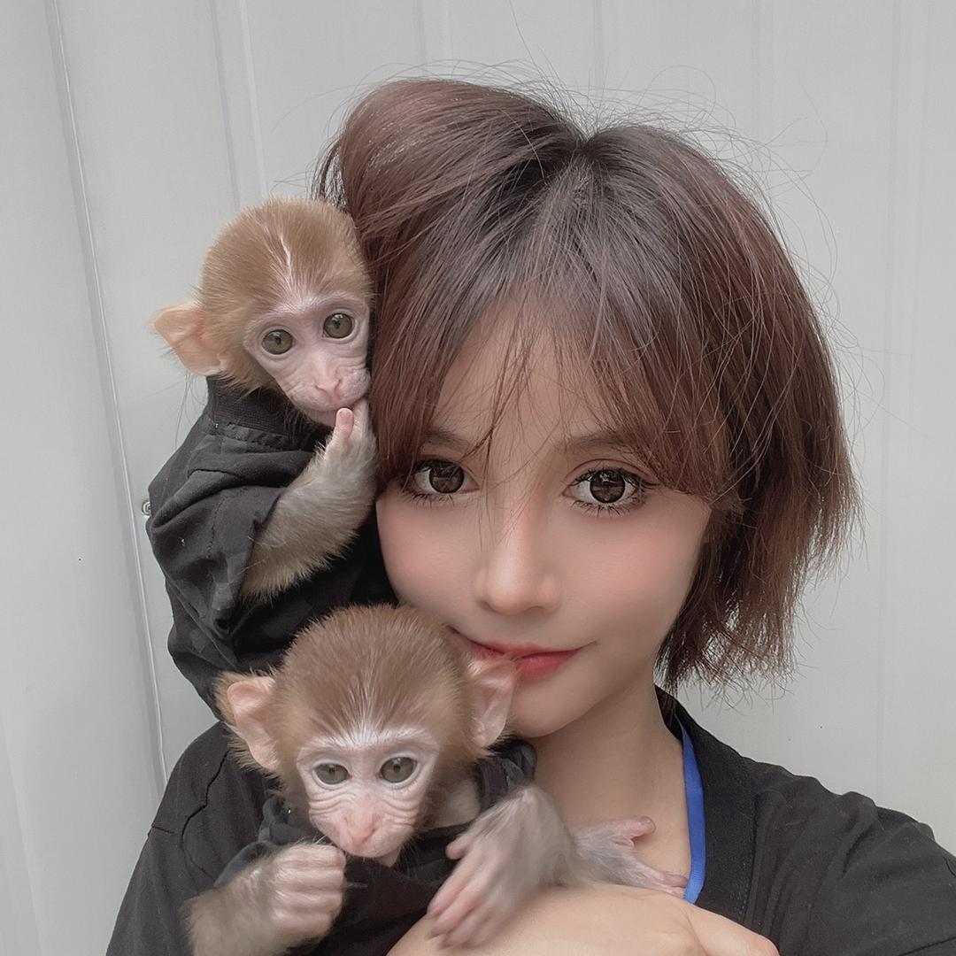 可爱可心（休息中）