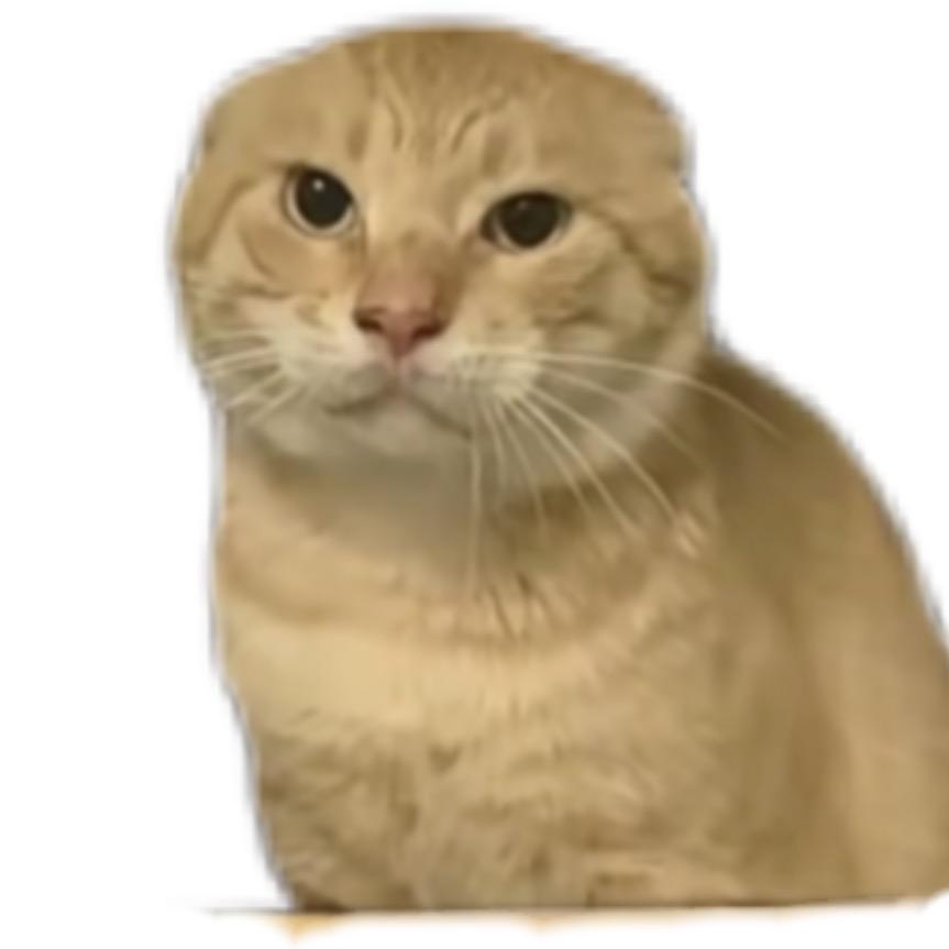 月半猫