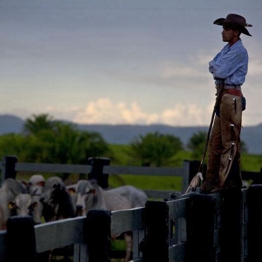 牛鲜生精品牛副